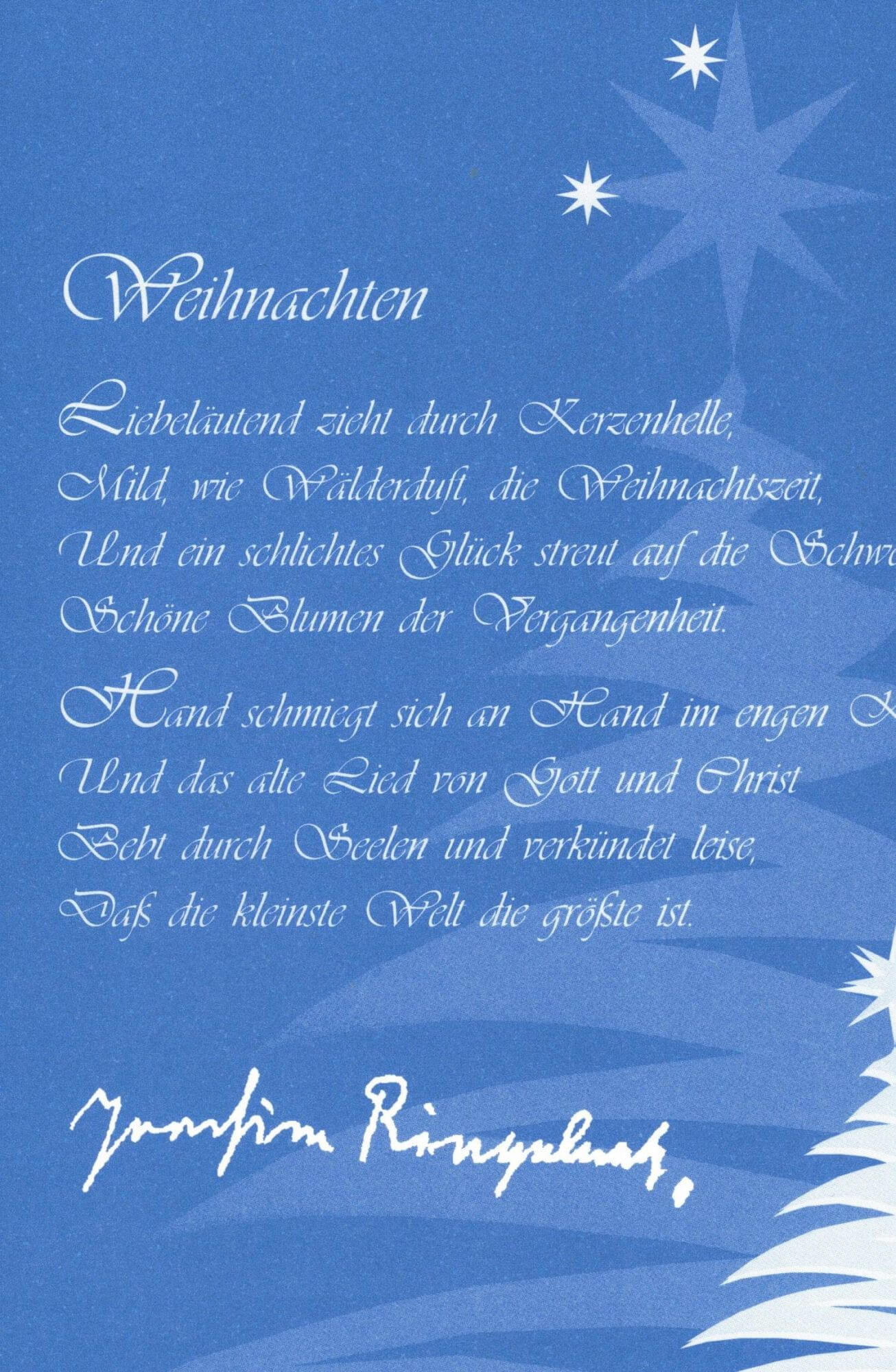 platzhalter-600-800